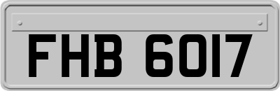 FHB6017