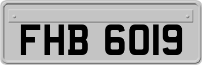 FHB6019