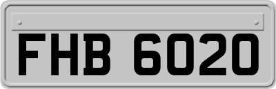 FHB6020