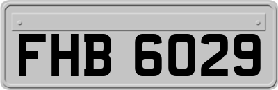 FHB6029