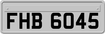 FHB6045