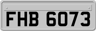 FHB6073