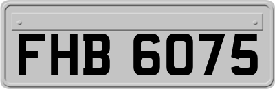 FHB6075