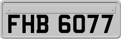 FHB6077