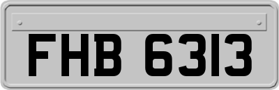 FHB6313