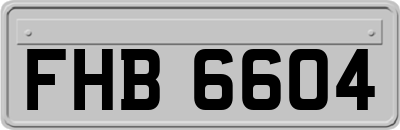 FHB6604