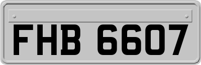 FHB6607