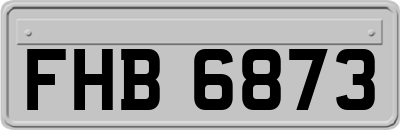 FHB6873