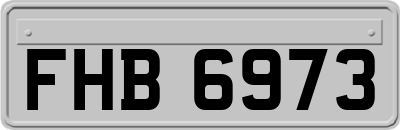 FHB6973