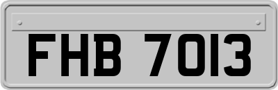 FHB7013