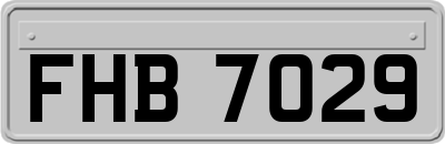FHB7029