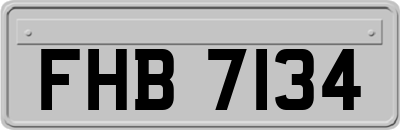 FHB7134