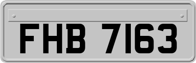FHB7163