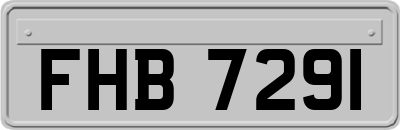 FHB7291