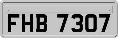FHB7307