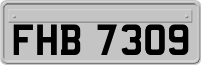 FHB7309