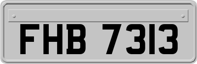 FHB7313
