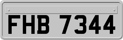 FHB7344