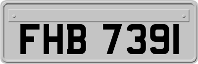 FHB7391