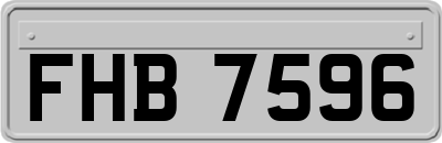 FHB7596
