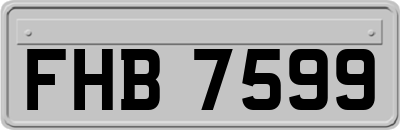 FHB7599