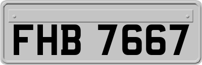 FHB7667