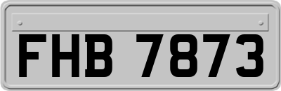 FHB7873