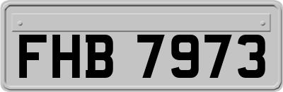 FHB7973