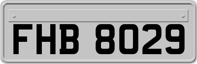 FHB8029