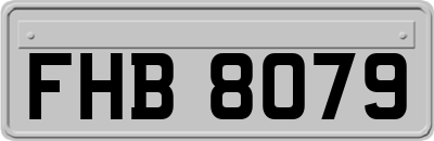 FHB8079