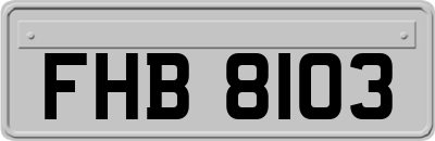 FHB8103