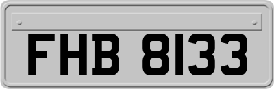 FHB8133