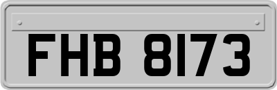FHB8173