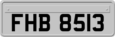 FHB8513