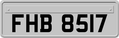 FHB8517