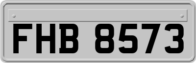 FHB8573
