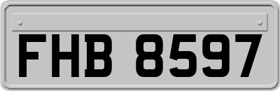 FHB8597