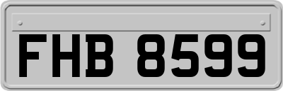 FHB8599