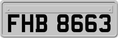 FHB8663