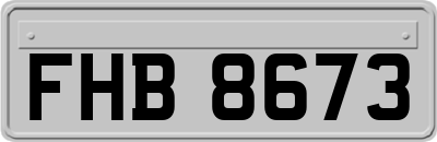 FHB8673