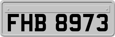 FHB8973