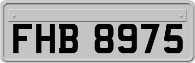 FHB8975