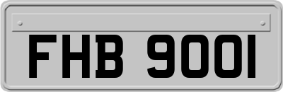 FHB9001