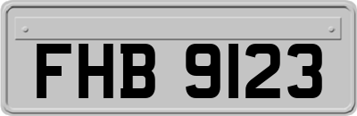 FHB9123