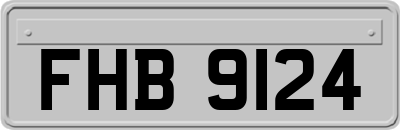 FHB9124