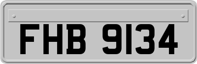 FHB9134