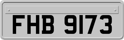 FHB9173