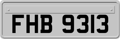 FHB9313