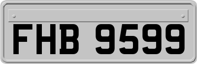 FHB9599