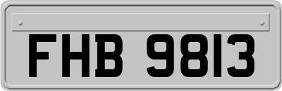 FHB9813